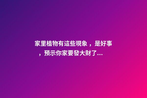 家里植物有這些現象，是好事，預示你家要發大財了！